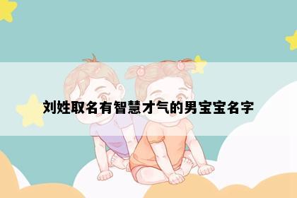 刘姓取名有智慧才气的男宝宝名字