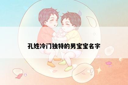 孔姓冷门独特的男宝宝名字