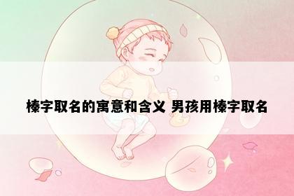 榛字取名的寓意和含义 男孩用榛字取名