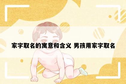 家字取名的寓意和含义 男孩用家字取名