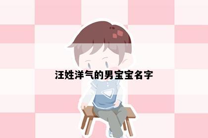 汪姓洋气的男宝宝名字