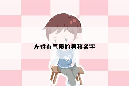 左姓有气质的男孩名字