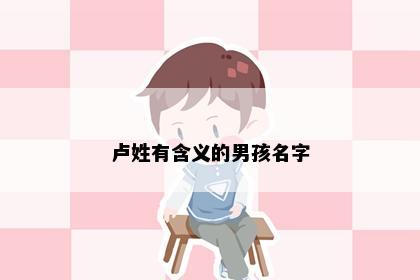 卢姓有含义的男孩名字