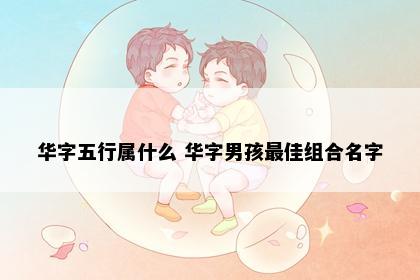 华字五行属什么 华字男孩最佳组合名字