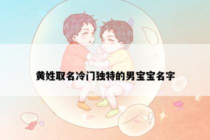 黄姓取名冷门独特的男宝宝名字