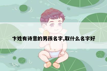 卞姓有诗意的男孩名字,取什么名字好