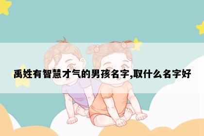 禹姓有智慧才气的男孩名字,取什么名字好