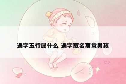 遇字五行属什么 遇字取名寓意男孩