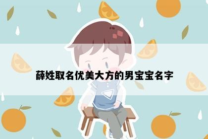 薛姓取名优美大方的男宝宝名字
