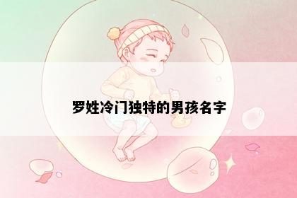 罗姓冷门独特的男孩名字