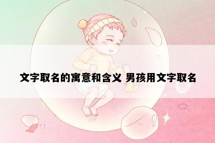文字取名的寓意和含义 男孩用文字取名