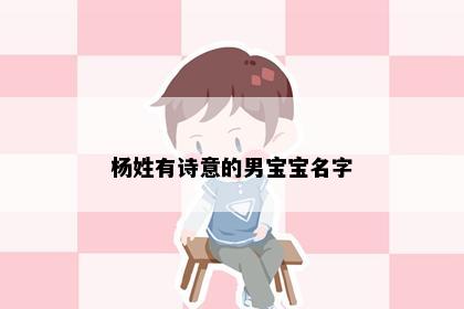 杨姓有诗意的男宝宝名字