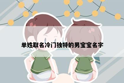 单姓取名冷门独特的男宝宝名字