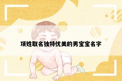 项姓取名独特优美的男宝宝名字