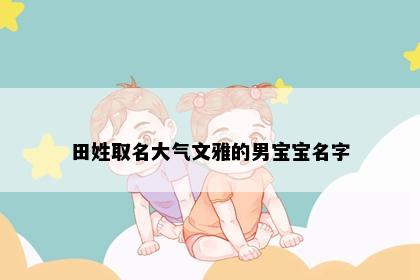 田姓取名大气文雅的男宝宝名字