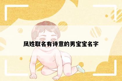 凤姓取名有诗意的男宝宝名字