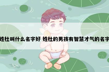 姓杜叫什么名字好 姓杜的男孩有智慧才气的名字