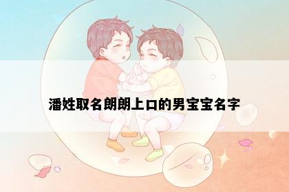 潘姓取名朗朗上口的男宝宝名字