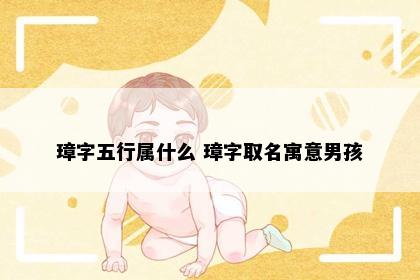 璋字五行属什么 璋字取名寓意男孩