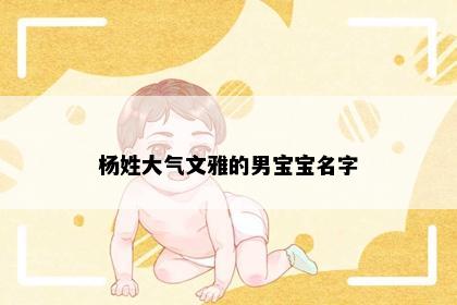 杨姓大气文雅的男宝宝名字