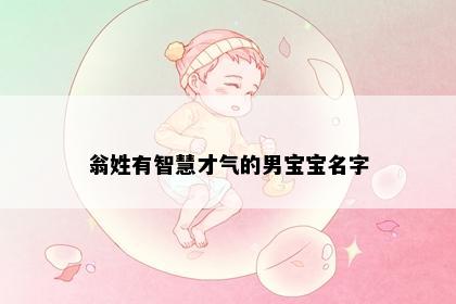 翁姓有智慧才气的男宝宝名字