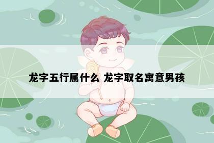 龙字五行属什么 龙字取名寓意男孩