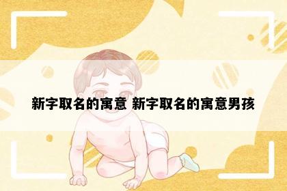新字取名的寓意 新字取名的寓意男孩