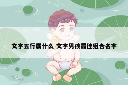 文字五行属什么 文字男孩最佳组合名字