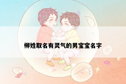 柳姓取名有灵气的男宝宝名字