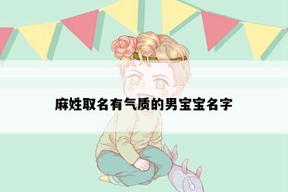 麻姓取名有气质的男宝宝名字