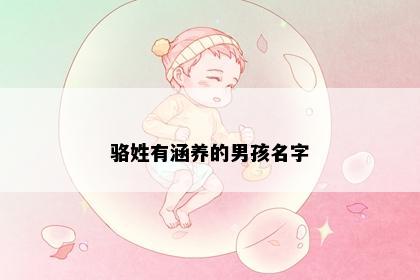 骆姓有涵养的男孩名字
