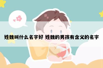 姓魏叫什么名字好 姓魏的男孩有含义的名字