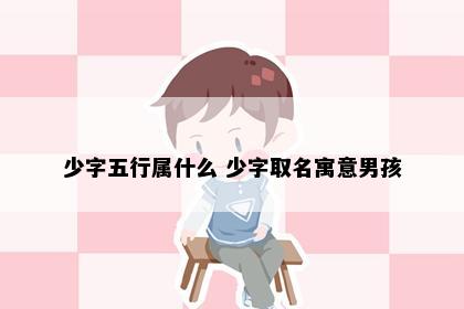 少字五行属什么 少字取名寓意男孩