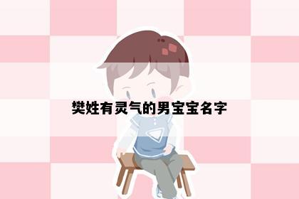 樊姓有灵气的男宝宝名字