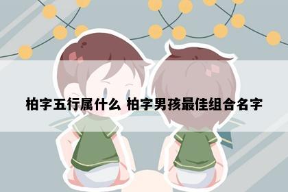 柏字五行属什么 柏字男孩最佳组合名字