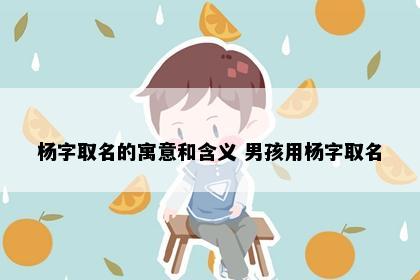 杨字取名的寓意和含义 男孩用杨字取名