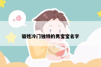 骆姓冷门独特的男宝宝名字