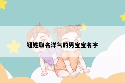 钮姓取名洋气的男宝宝名字