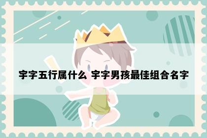 宇字五行属什么 宇字男孩最佳组合名字