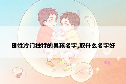 田姓冷门独特的男孩名字,取什么名字好