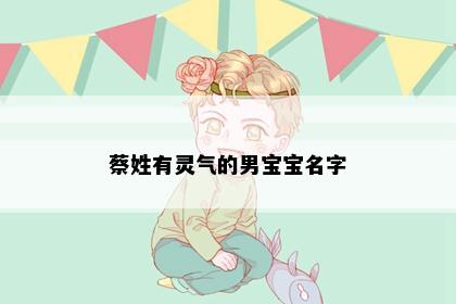 蔡姓有灵气的男宝宝名字