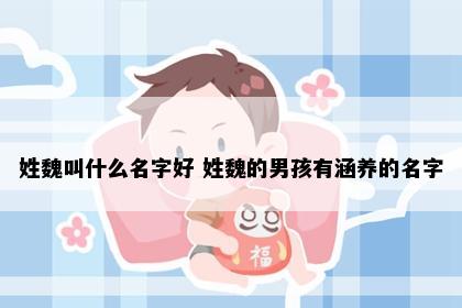 姓魏叫什么名字好 姓魏的男孩有涵养的名字