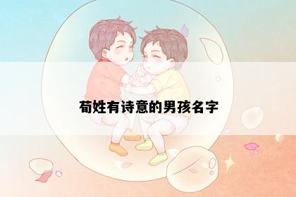 荀姓有诗意的男孩名字