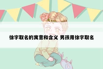 徐字取名的寓意和含义 男孩用徐字取名
