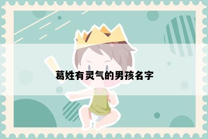 葛姓有灵气的男孩名字