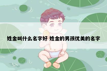 姓金叫什么名字好 姓金的男孩优美的名字