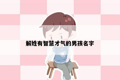 解姓有智慧才气的男孩名字