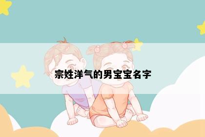 宗姓洋气的男宝宝名字