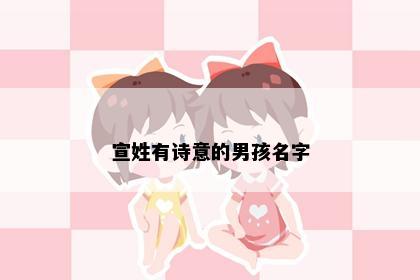 宣姓有诗意的男孩名字