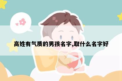 高姓有气质的男孩名字,取什么名字好